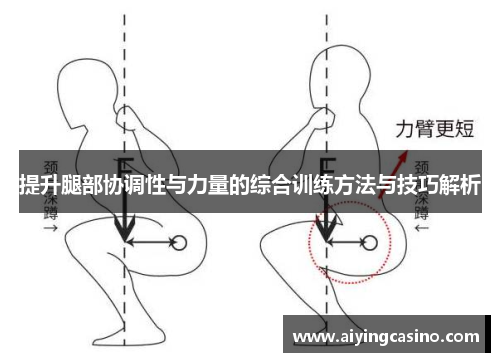 提升腿部协调性与力量的综合训练方法与技巧解析