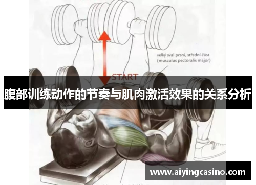 腹部训练动作的节奏与肌肉激活效果的关系分析
